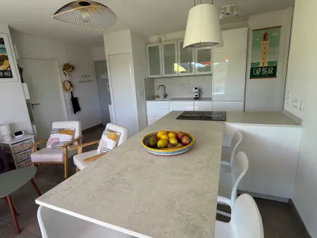 Appartement T3 avec grande terrasse et vue sur les Albères - Photo 13