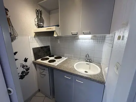 Appt 2 pièces avec terrasse, clim, piscine, parking à Port Camargue - Photo 6