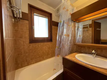 Appartement 2 pièces cabine à Praz sur Arly - 4 personnes - Proche pistes et village, parking inclus - Photo 6