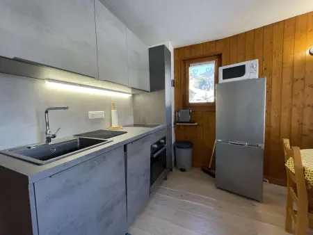 Appartement 2 pièces cabine à Praz sur Arly - 4 personnes - Proche pistes et village, parking inclus - Photo 7