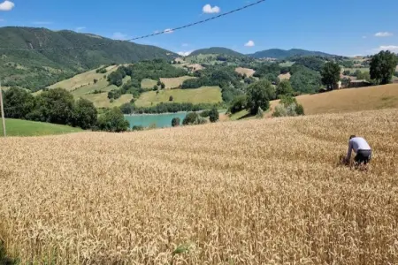 Binnella 10, Maison familiale des Marches avec piscine - Photo 34