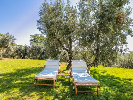 Podere il Pezzo, Maison 6 personnes à Castagneto Carducci - Photo 65