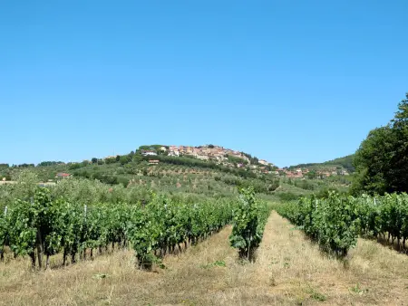 Podere il Pezzo, Maison 6 personnes à Castagneto Carducci - Photo 71