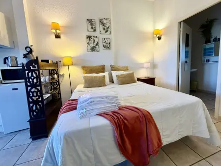 Studio calme avec terrasse, piscine, proche plages et centre, climatisation - Photo 3