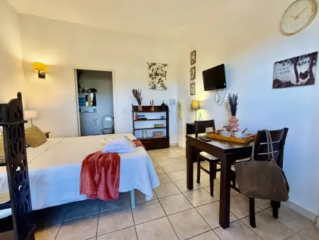 Studio calme avec terrasse, piscine, proche plages et centre, climatisation - Photo 5