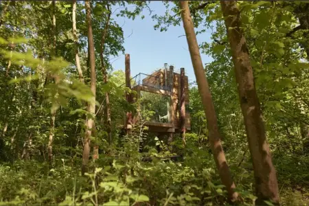 The TreeLoft by YourNature, Retraite de luxe dans une cabane dans les arbres - Photo 4