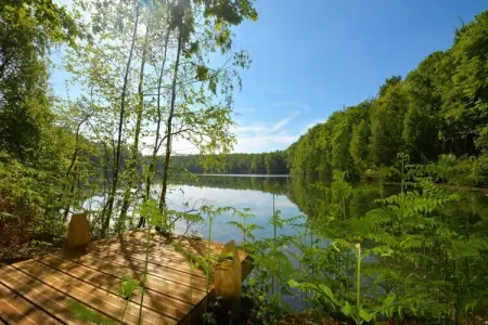 The Large Leaf by YourNature, Charmant Bungalow pour 6 Personnes - Photo 37