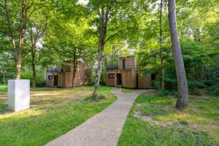 The Cottage by YourNature, Escapade chaleureuse en forêt dans le Hainaut - Photo 10