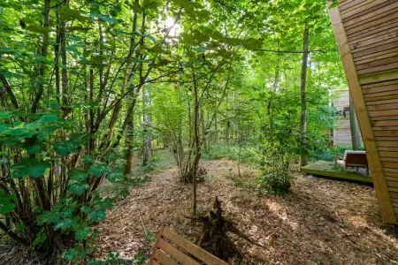 The Cottage by YourNature, Retraite tranquille dans les bois - Photo 25