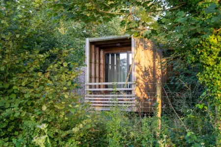 The Cottage by YourNature, Retraite de sérénité dans les bois - Photo 7
