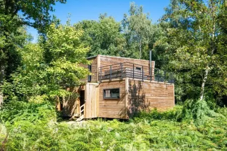 The Cottage by YourNature, Refuge tranquille dans la forêt - Photo 8