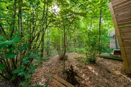 The Cottage by YourNature, Refuge tranquille dans la forêt - Photo 21