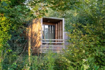 The Cottage by YourNature, Retraite confortable dans les bois - Photo 8