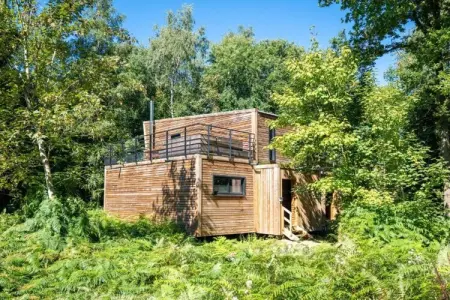 The Cottage by YourNature, Chalet d'évasion en forêt - Photo 8