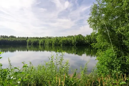 The Large Lake House by YourNature, Spacieux manoir en bord de forêt - Photo 30
