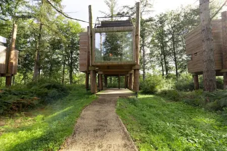 The TreeLoft by YourNature, Escapade bien-être avec sauna - Photo 9
