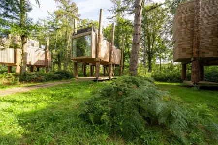 The TreeLoft by YourNature, Évasion moderne dans la nature - Photo 13
