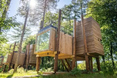 The TreeLoft by YourNature, Retraite sur le toit avec sauna - Photo 13