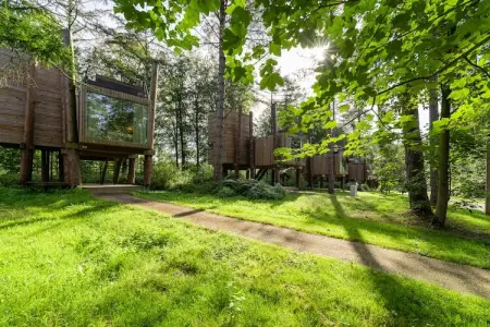 The TreeLoft by YourNature, Havre de paix avec sauna et piscine - Photo 7