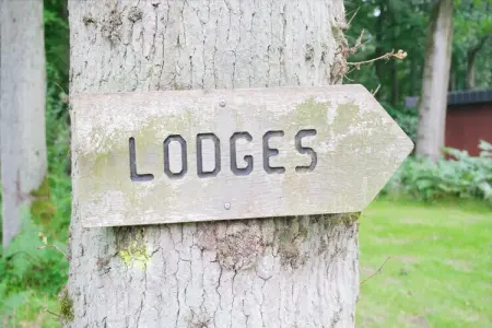 The Blue Lodge by YourNature, Escapade de luxe au bord de l'eau - Photo 39