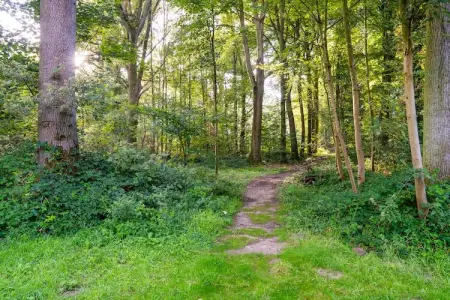 The Blue Lodge by YourNature, Joyau caché pour 2 personnes - Photo 23