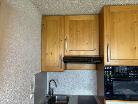 Auris en Oisans: Appart 4 pers, 250m pistes, balcon, parking gratuit, animaux admis - Photo 3