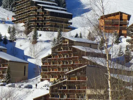 Auris en Oisans: Appart 4 pers, 250m pistes, balcon, parking gratuit, animaux admis - Photo 7