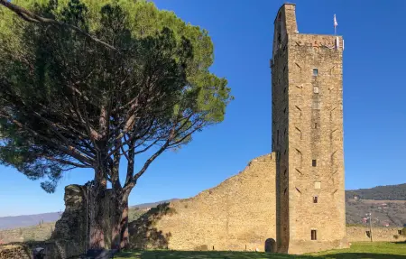 Maison 11 personnes à Castiglion Fiorentino - Photo 21