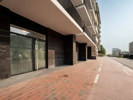 Richard I with city view, Appartement 2 personnes à Blankenberge - Photo 15