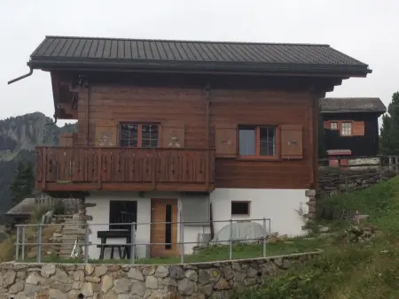 Sunneschy 1. OG Süd, Appartement 6 personnes à Riederalp - Photo 1