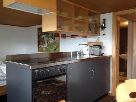 Sunneschy EG Süd, Appartement 3 personnes à Riederalp - Photo 7
