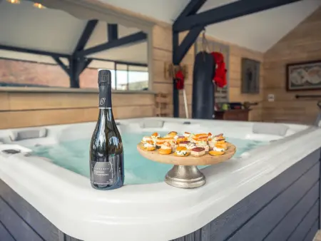 Luxueuse maison avec piscine chauffée, jacuzzi et équipements modernes près des lacs de la Forêt d'Orient - Photo 12