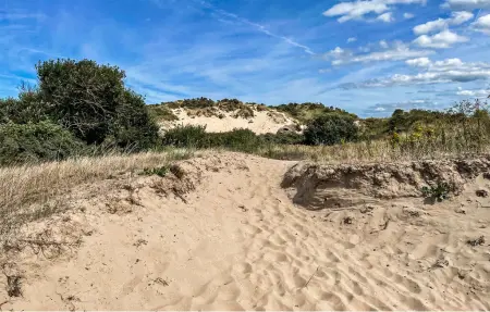 Appartement 6 personnes à Bray Dunes - Photo 24