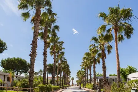 CAMPING ESTIVAL VENDRELL PLATJA TENT GRAND SAFARI GLAMPING, Tente Glamping à Sant Salvador Plage - Photo 27