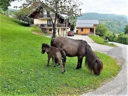 Chalet confort 6 pers. avec parking et wifi au Corbier - Photo 17