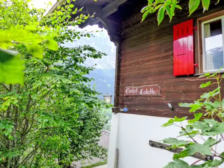 Chalet Colette - 1, Appartement 4 personnes à Grindelwald - Photo 28