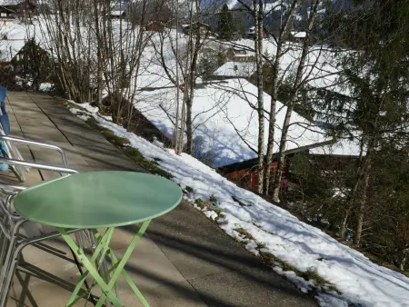 Chalet Colette - 1, Appartement 4 personnes à Grindelwald - Photo 30