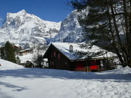 Chalet Colette - 1, Appartement 4 personnes à Grindelwald - Photo 32