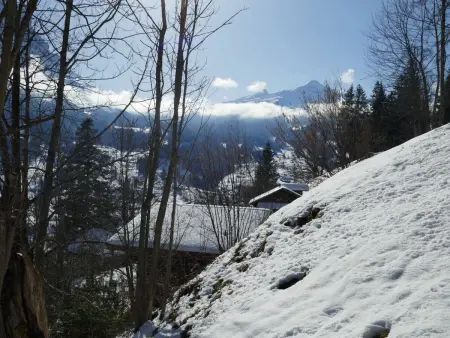 Chalet Colette - 1, Appartement 4 personnes à Grindelwald - Photo 35