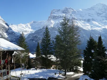 Chalet Colette - 1, Appartement 4 personnes à Grindelwald - Photo 36