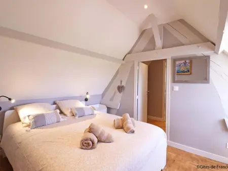 Gîte charmant avec spa et court de tennis, proche Haras du Pin - Photo 24