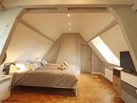 Gîte charmant avec spa et court de tennis, proche Haras du Pin - Photo 27