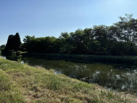 Maison cosy avec jardin entre canal et Loire, Gite 4 personnes à Diou - Photo 15