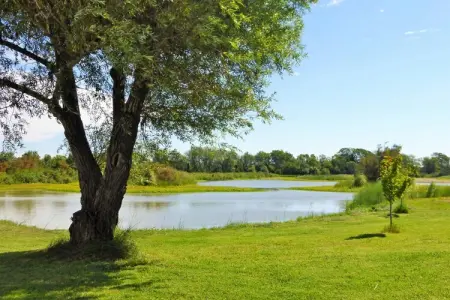 holiday home Salin-de-Giraud, Maison de vacances en Camargue avec piscine - Photo 15