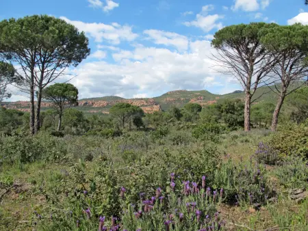 Les Domaines de St. Endréol, Maison 8 personnes à La Motte en Provence - Photo 19