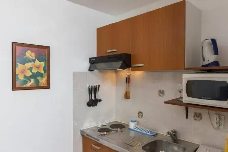 Apartments Milanović - Superior Studio Apartment with Terrace and Garden View, Apartments Milanović - Superior Studio Apartment with Terrace and Garden View - Photo 5