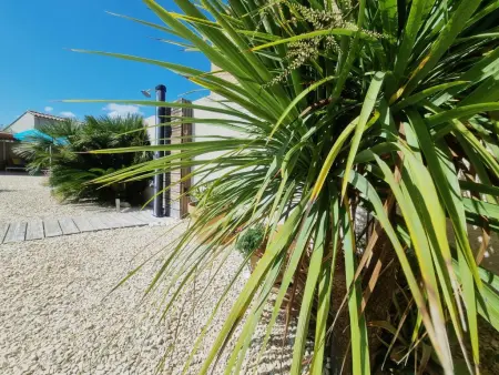 Parasar, Superbe villa avec piscine privé et coin relax - Photo 24