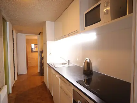 Spacieux duplex 3 pièces mezzanine à 250m des pistes avec parking, animaux admis - Photo 4