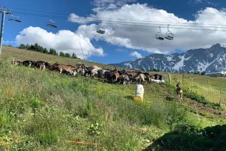 Chalets Les Amis 1, Chalet à Paradiski avec spa et vue - Photo 37