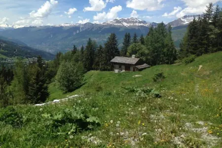 Chalet Ponturin, Chalet à Vanoise avec spa et vue superbe - Photo 37